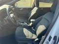 Ford Kuga Kuga III 2020 1.5 ecoblue ST-Line X 2wd 120cv auto Blanc - thumbnail 7
