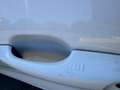 Ford Kuga Kuga III 2020 1.5 ecoblue ST-Line X 2wd 120cv auto Blanc - thumbnail 14