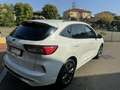 Ford Kuga Kuga III 2020 1.5 ecoblue ST-Line X 2wd 120cv auto Blanc - thumbnail 6