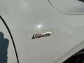 Ford Kuga Kuga III 2020 1.5 ecoblue ST-Line X 2wd 120cv auto Blanc - thumbnail 15