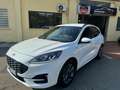 Ford Kuga Kuga III 2020 1.5 ecoblue ST-Line X 2wd 120cv auto Blanc - thumbnail 1