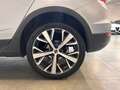 SEAT Arona 1.0 EcoTSI 110 CV DSG XPERIENCE Grigio - thumbnail 7