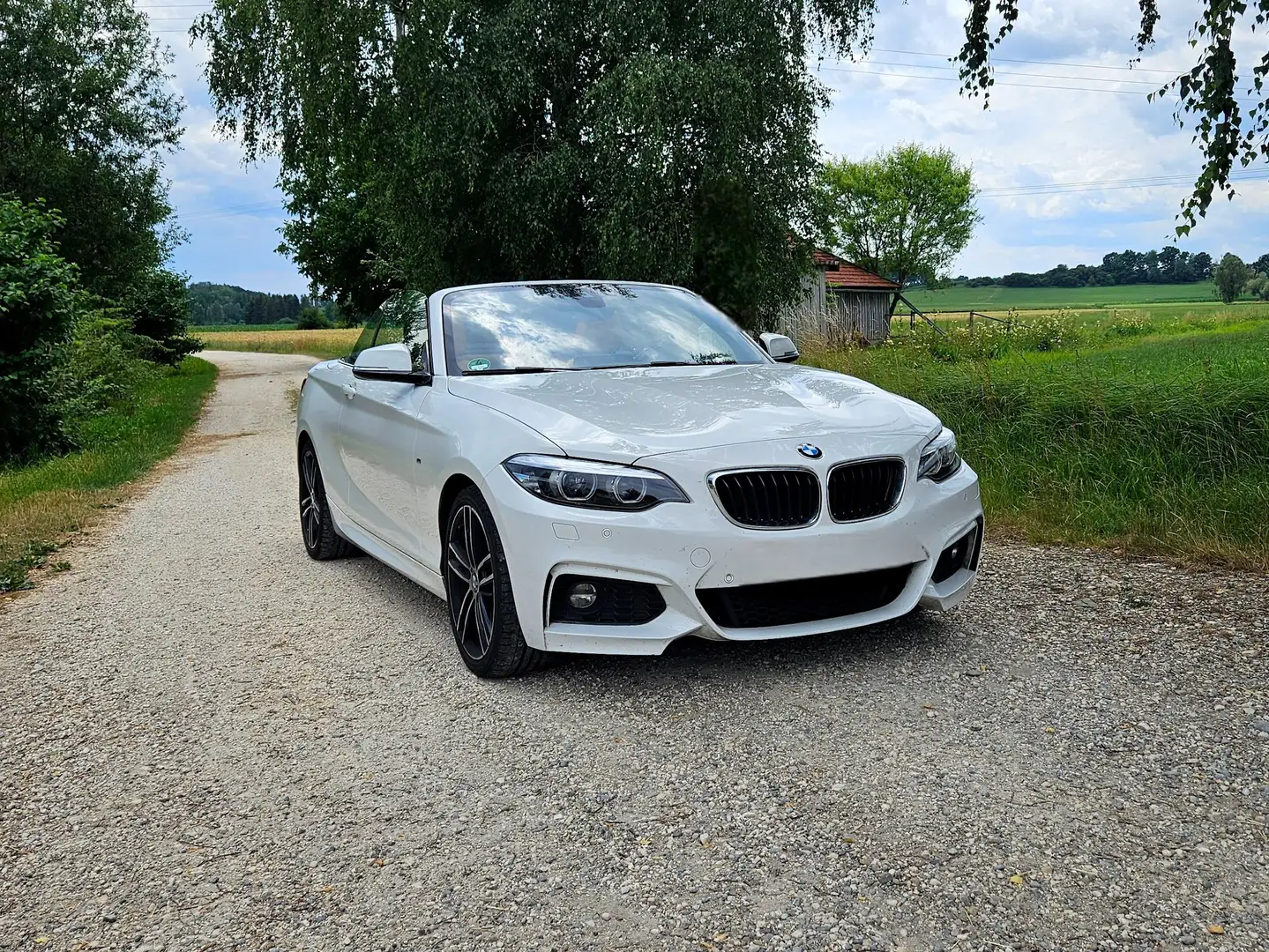 BMW 218 218i Cabrio M Paket Alb - 1