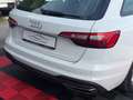 Audi A4 Avant 30 TDI basis Weiß - thumbnail 13