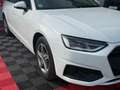 Audi A4 Avant 30 TDI basis Weiß - thumbnail 4