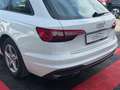 Audi A4 Avant 30 TDI basis Weiß - thumbnail 15