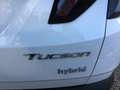 Hyundai TUCSON NX4 Prestige Line 1,6 T-GDi HEV 4WD ALLRAD Weiß - thumbnail 22