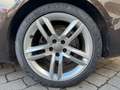 Audi A5 Cabriolet 2.0 TFSI S tronic quattro/AHK/RFK Marrone - thumbnail 5