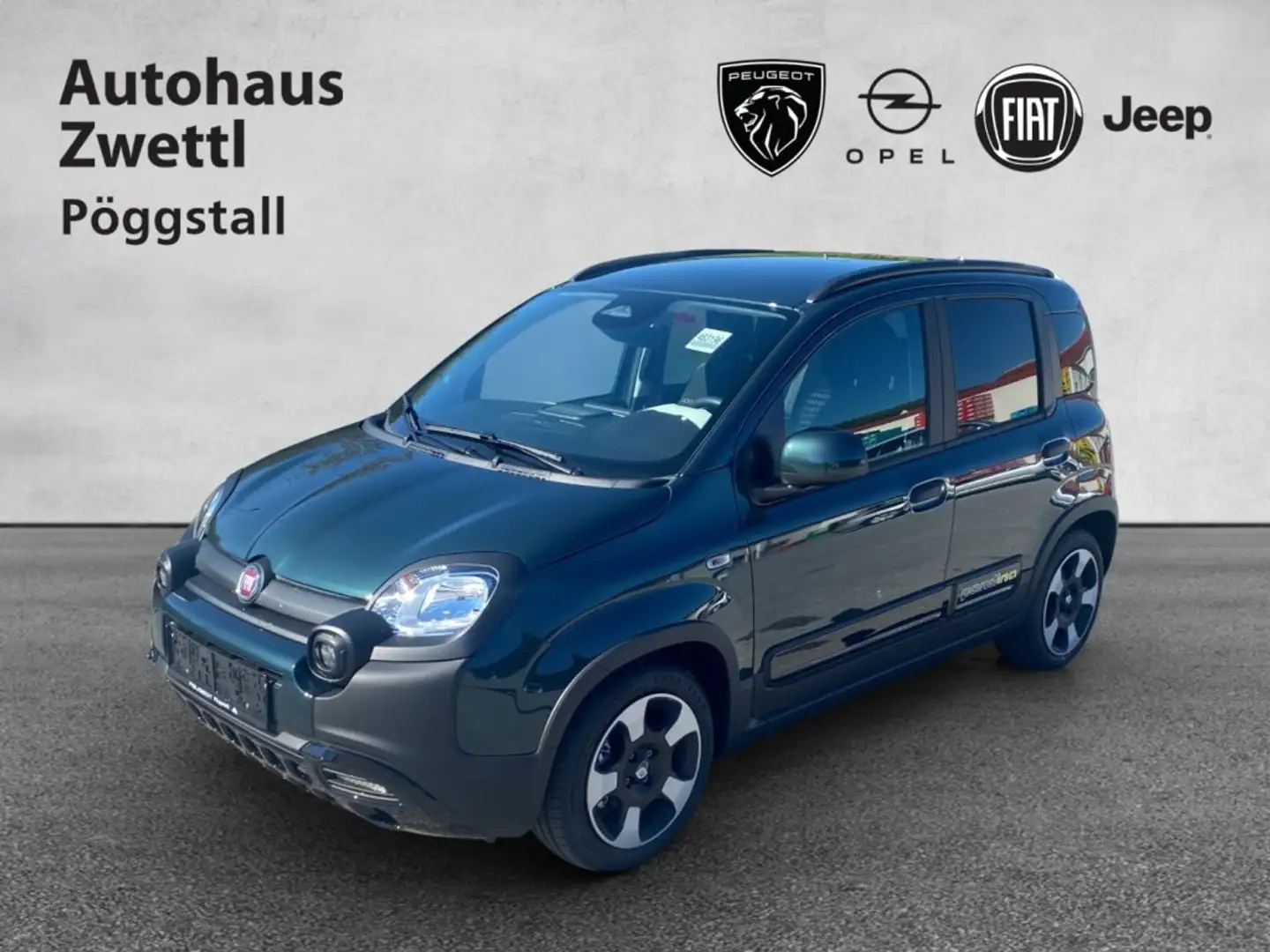 Fiat Panda Pandina PT 70 Grün - 1