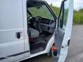 Ford Transit Neu TÜV Neu Inspektion Garantie Blanco - thumbnail 15