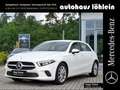 Mercedes-Benz A 250 4M PROGRESSIVE KAMERA+VZ-ASSI+SHZ+SPIEGEL+ Blanc - thumbnail 1