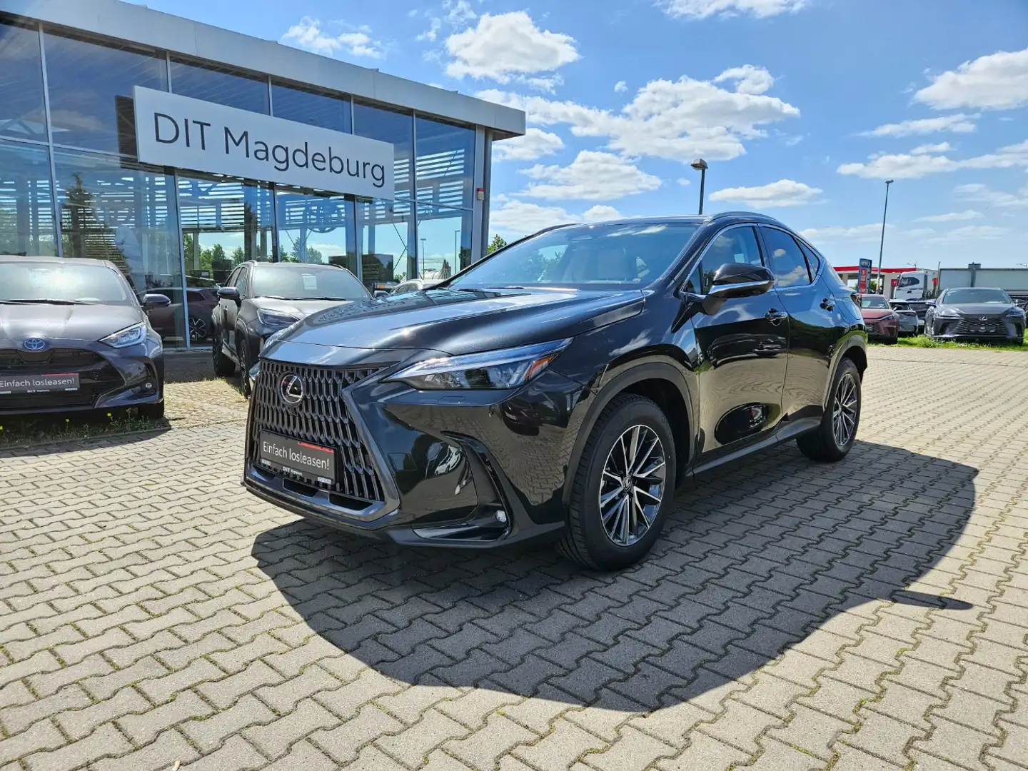 Lexus NX 350h 4x4 Executive Line Pano, HUD, Sitzlüftung Schwarz - 1