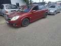 Opel Signum Signum 2.2 Automatik Edition Rot - thumbnail 3