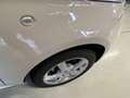 Fiat 500 Cabrio Collezione Sport Edition -Wenig Km Weiß - thumbnail 18