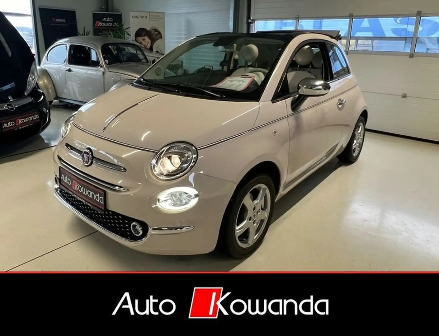 Fiat 500 Cabrio Collezione Sport Edition -Wenig Km Weiß - 1