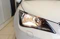 SEAT Ibiza Style 1.2 TSI NAVI+SHZ+BT Klima Navi Sitzheizung Blanc - thumbnail 19