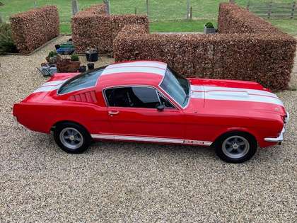 Ford Mustang SHELBY 1965 GT350 Tribute