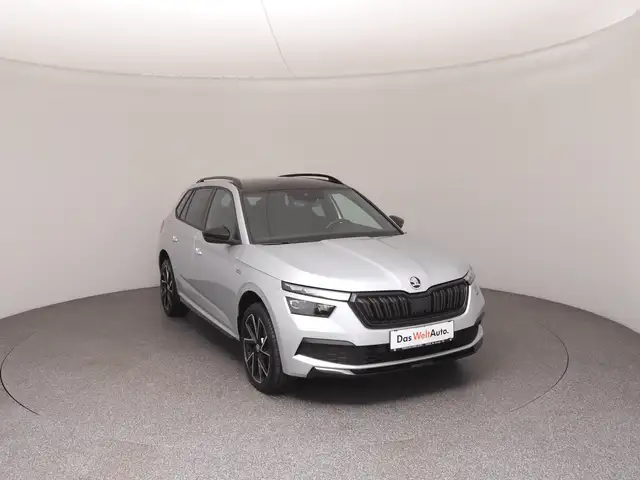 Skoda Kamiq view 2
