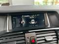 BMW X4 xDrive20da X-Line / GPS+ / Cam / Leder / LED / 19" Gris - thumbnail 13