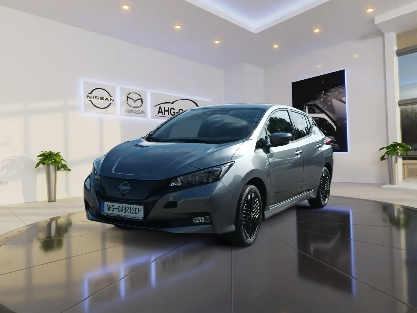 Nissan Leaf e+ N-Connecta, Winterpaket Gris - 1