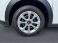 Citroen C3 BlueHDi 100 S&S Business Combi Bianco - thumbnail 5