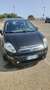 Fiat Punto Evo 3p 1.3 mjt Active 75cv - thumbnail 1