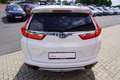 Honda CR-V 1.5 T 2WD Elegance LED Navi ACC Kamera AHK Weiß - thumbnail 5