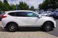 Honda CR-V 1.5 T 2WD Elegance LED Navi ACC Kamera AHK Weiß - thumbnail 6