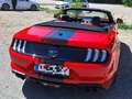 Ford Mustang Mustang 5,0 Ti-VCT V8 GT Cabrio Aut. GT Rot - thumbnail 22