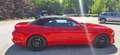 Ford Mustang Mustang 5,0 Ti-VCT V8 GT Cabrio Aut. GT Rot - thumbnail 6