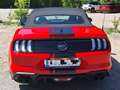 Ford Mustang Mustang 5,0 Ti-VCT V8 GT Cabrio Aut. GT Rot - thumbnail 3