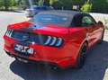 Ford Mustang Mustang 5,0 Ti-VCT V8 GT Cabrio Aut. GT Rot - thumbnail 5