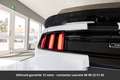 Ford Mustang GT Pack Shelby Tout compris hors homologation 4500 Blanc - thumbnail 14