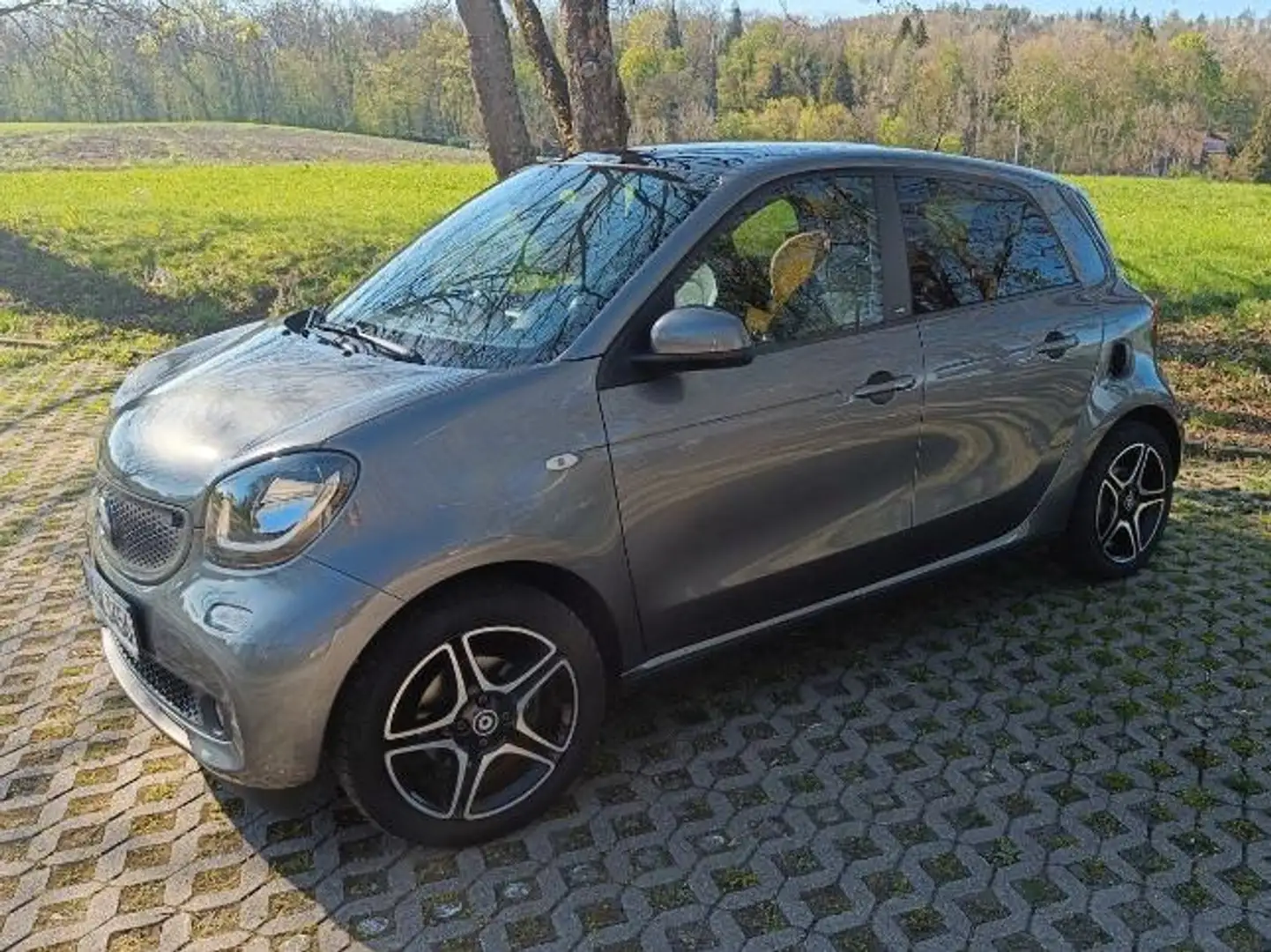 smart forFour smart forfour twinamic prime Grau - 1