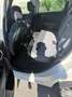 Fiat 500L 1,3 Multijet II 85 Start&Stop Lounge Dualogic Start & Stop - thumbnail 7