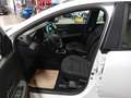 Dacia Sandero Stepway III 2021 Stepway 1.0 TCe Comfort Bianco - thumbnail 12