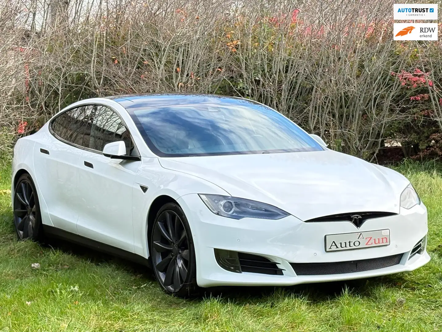 Tesla Model S 70D Base/Pano/Autopilot/Leer Wit - 1
