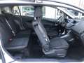 Ford B-Max B-Max 1.5 tdci Business 75cv E6 NEOPATENTATI Bianco - thumbnail 11