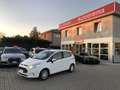 Ford B-Max B-Max 1.5 tdci Business 75cv E6 NEOPATENTATI Bianco - thumbnail 1