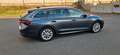 Skoda Octavia Combi First Edition Neues Mod. 2,0TDI Grau - thumbnail 4
