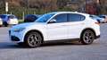 Alfa Romeo Stelvio Stelvio 2.2 t Super rwd 160cv auto Wit - thumbnail 3