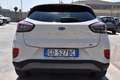 Ford Puma 1.0 EcoBoost Hybrid 125 CV S&S Titanium X Bianco - thumbnail 5