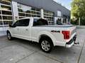 Ford F 150 FORD PLATINUM Panorama|Prins LPG|360cam Blanc - thumbnail 7
