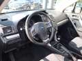 Subaru Forester Exclusive AHK, XENON, SHZ,UVM... Gris - thumbnail 11