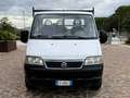 Fiat Ducato 2.8 JTD - CASSONE - Bianco - thumbnail 2