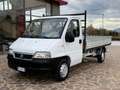 Fiat Ducato 2.8 JTD - CASSONE - Bianco - thumbnail 3