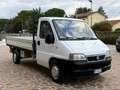 Fiat Ducato 2.8 JTD - CASSONE - Bianco - thumbnail 1