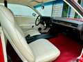 Plymouth Road Runner Roadrunner 400 MAGNUM V8, 727 TorqueFlite automaat Rouge - thumbnail 21