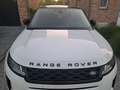 Land Rover Range Rover Evoque Evoque 2.0 TD4 MHEV 2WD D165 Blanc - thumbnail 7