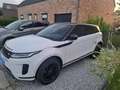 Land Rover Range Rover Evoque Evoque 2.0 TD4 MHEV 2WD D165 Blanc - thumbnail 10